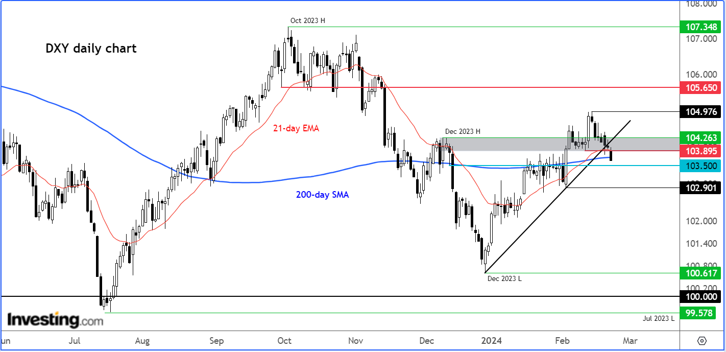 DXY Daily