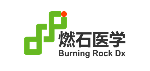 Burning Rock Biotech Limited