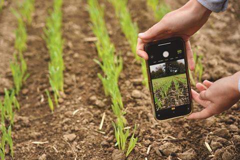 Bayer Vegetable Seeds pic