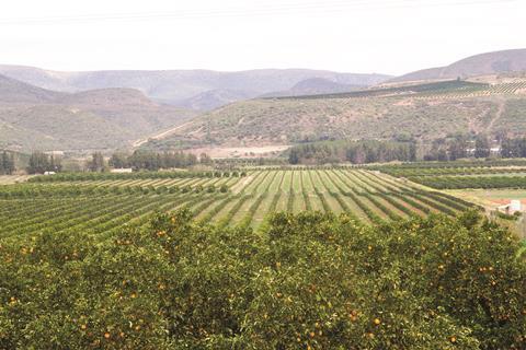 Fresh-Pride pic Generic South African citrus Patensie Adobe Stock