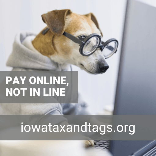 Copy of PAY ONLINE NOT IN LINE taxes