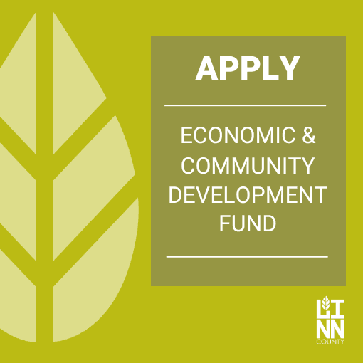 ECONOMIC and COMMUNITY DEVELOPMENT FUND