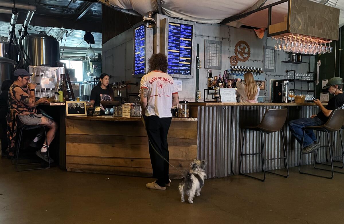 A customer with a dog on a leash orders a drink in a brewery 