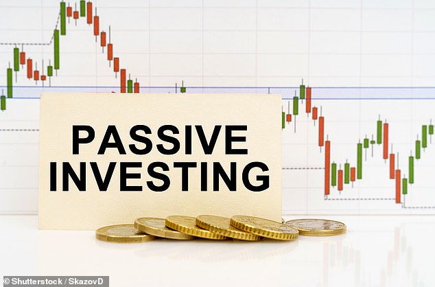 Word of warning: Lance says passive investors buying a World index fund are allocating a significant amount of their money to a small number of companies which look very expensive