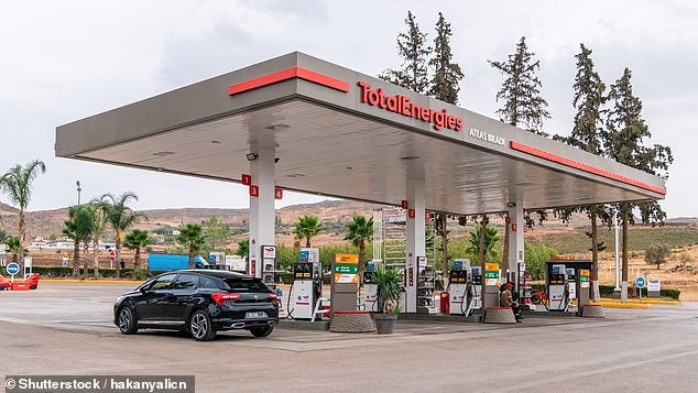 Global pick: the multi-energy company Total Energies offers a dividend yield of 6 per cent, which Ian Lance thinks will grow over time