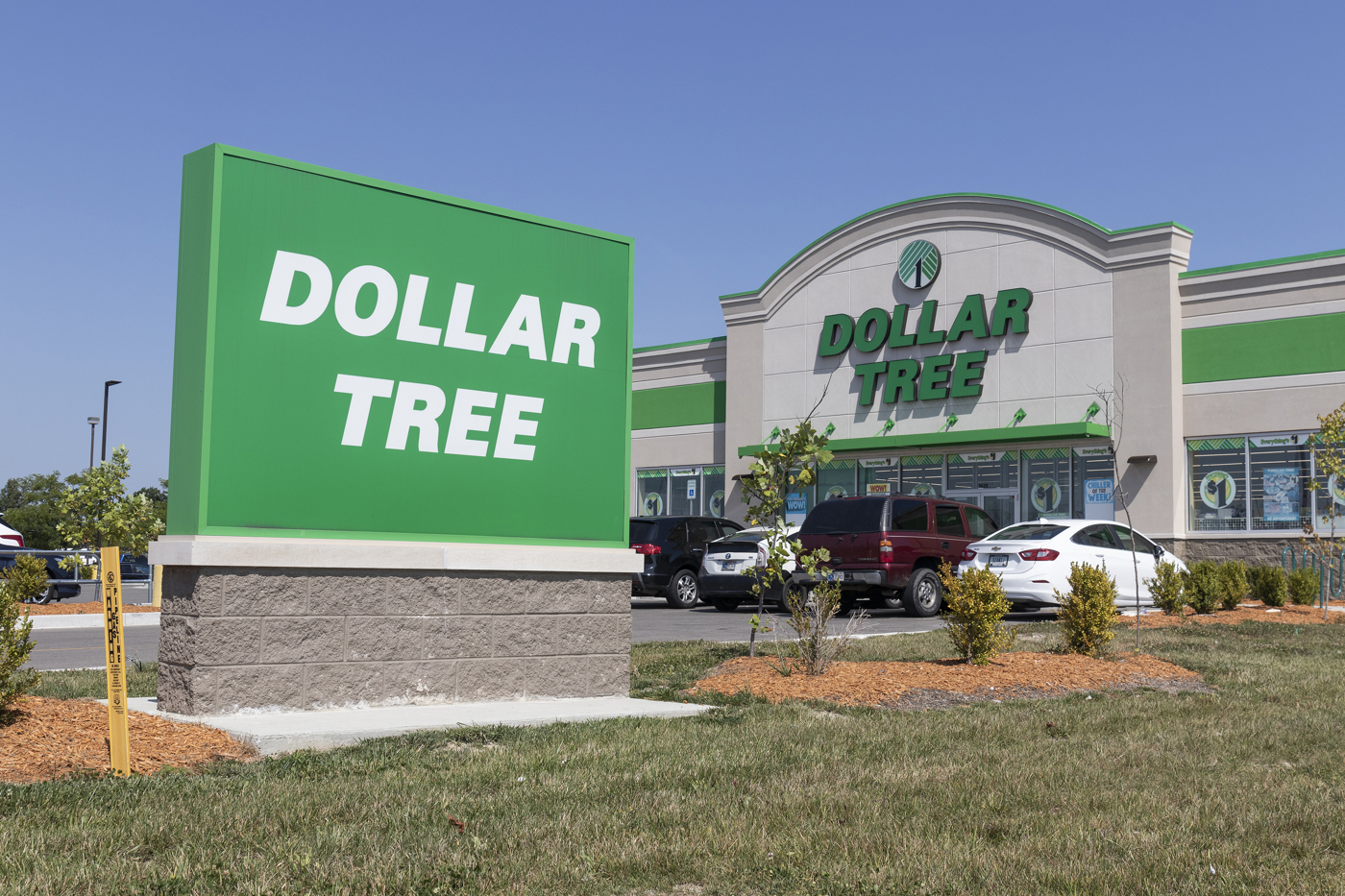 Dollar Tree stock, DLTR stock, DLTR stock news