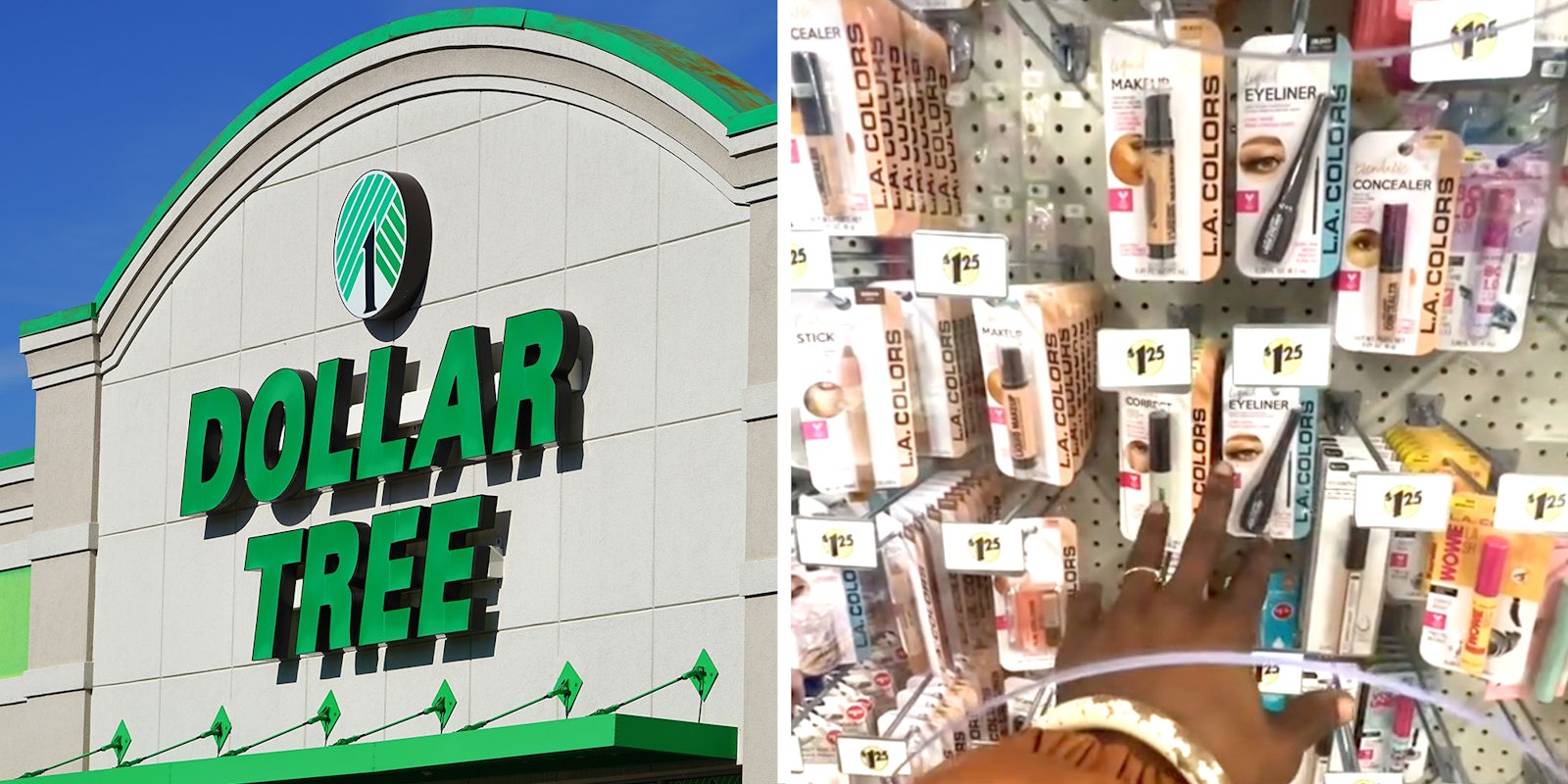 Side by side photos of a Dollar Tree Exterior and a screenshot from @officialtmarie's Tiktok.