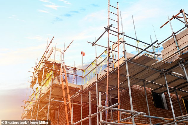 No chance: Anna thinks the Government is set to fall short of delivering its promise to build 1.5 million homes by 2029