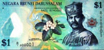Bruneian Dollar (BND)