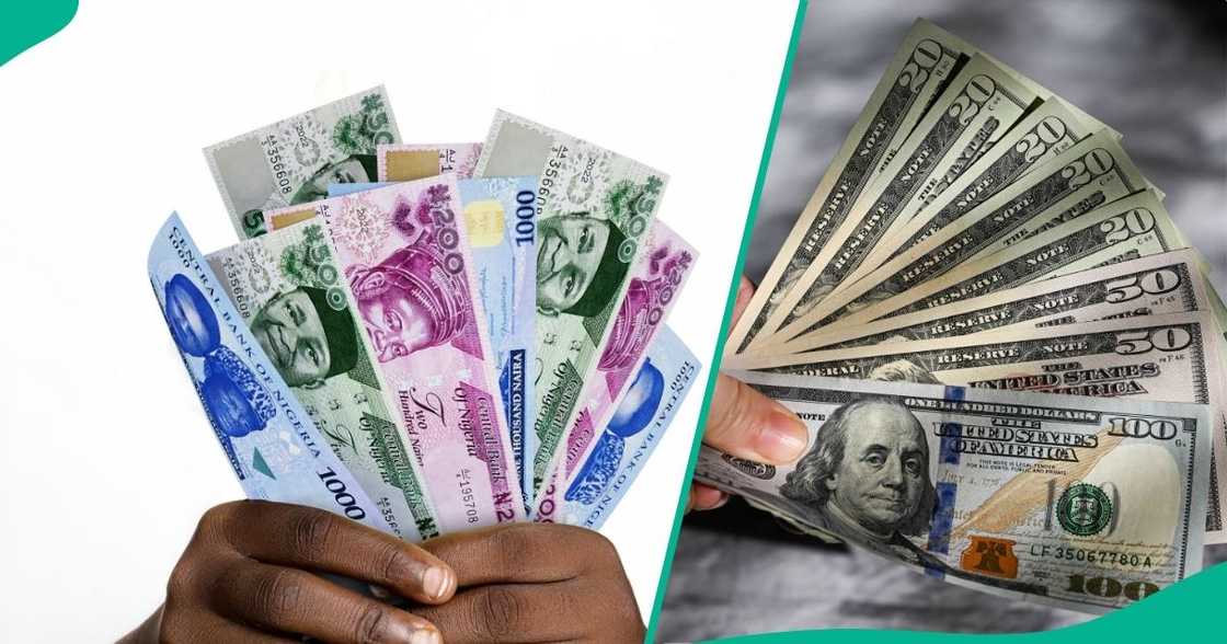 The naira rebounds in the FX market as CBN reports new accretion into reserves