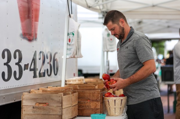 Logan Brace of Brace's Orchard packages a basket of apples at the Wilkes-Barre Farmer's Market on Public Square on Thursday, June 19, 2025. (JASON ARDAN / STAFF PHOTOGRAPHER)
