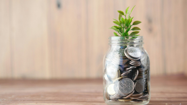 Top Small Cap Mutual Funds With 40% Returns In 5 Years | Check Full List 