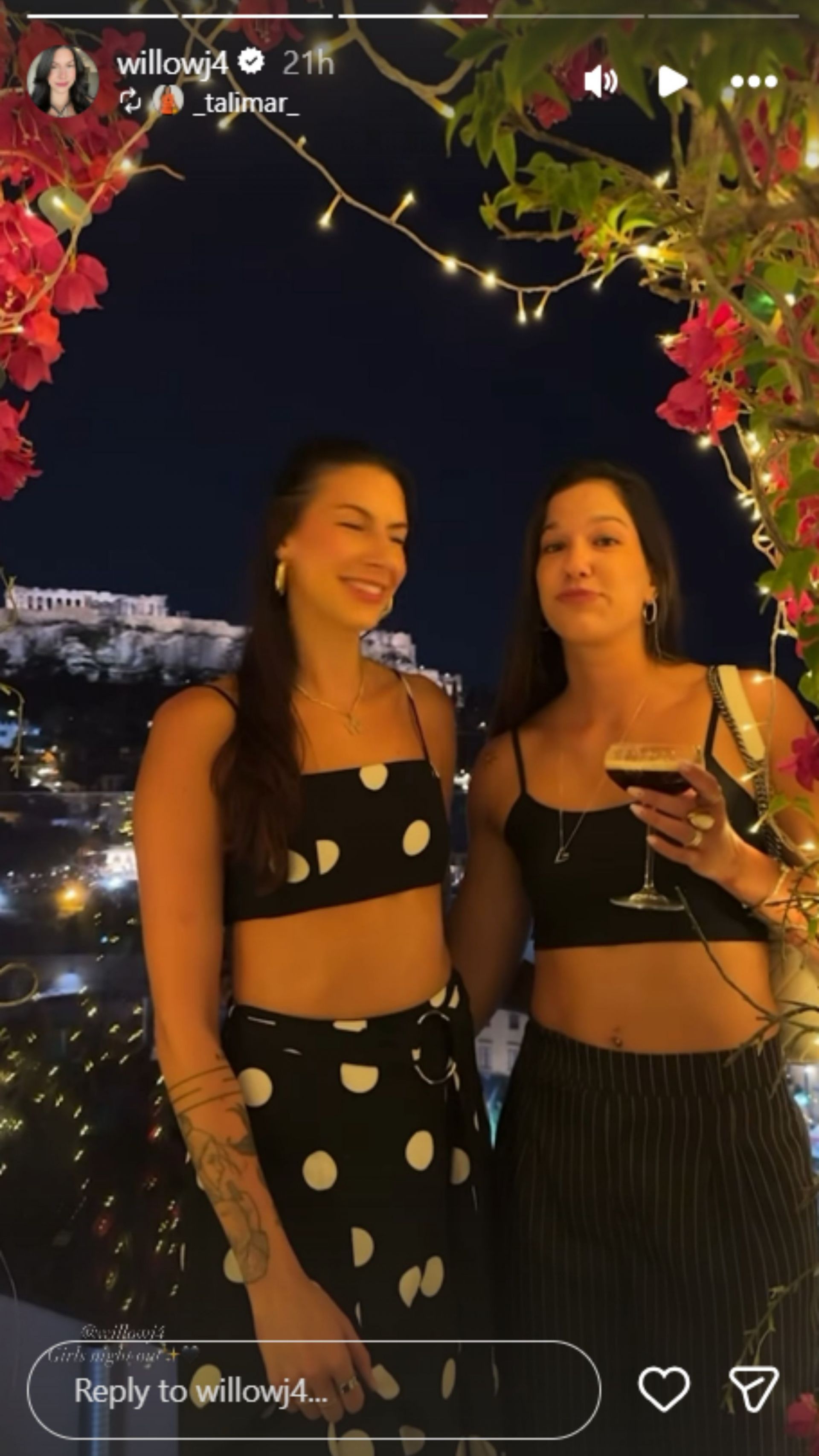 Willow Johnson's Instagram story [Image Source: Instagram/willowj4]