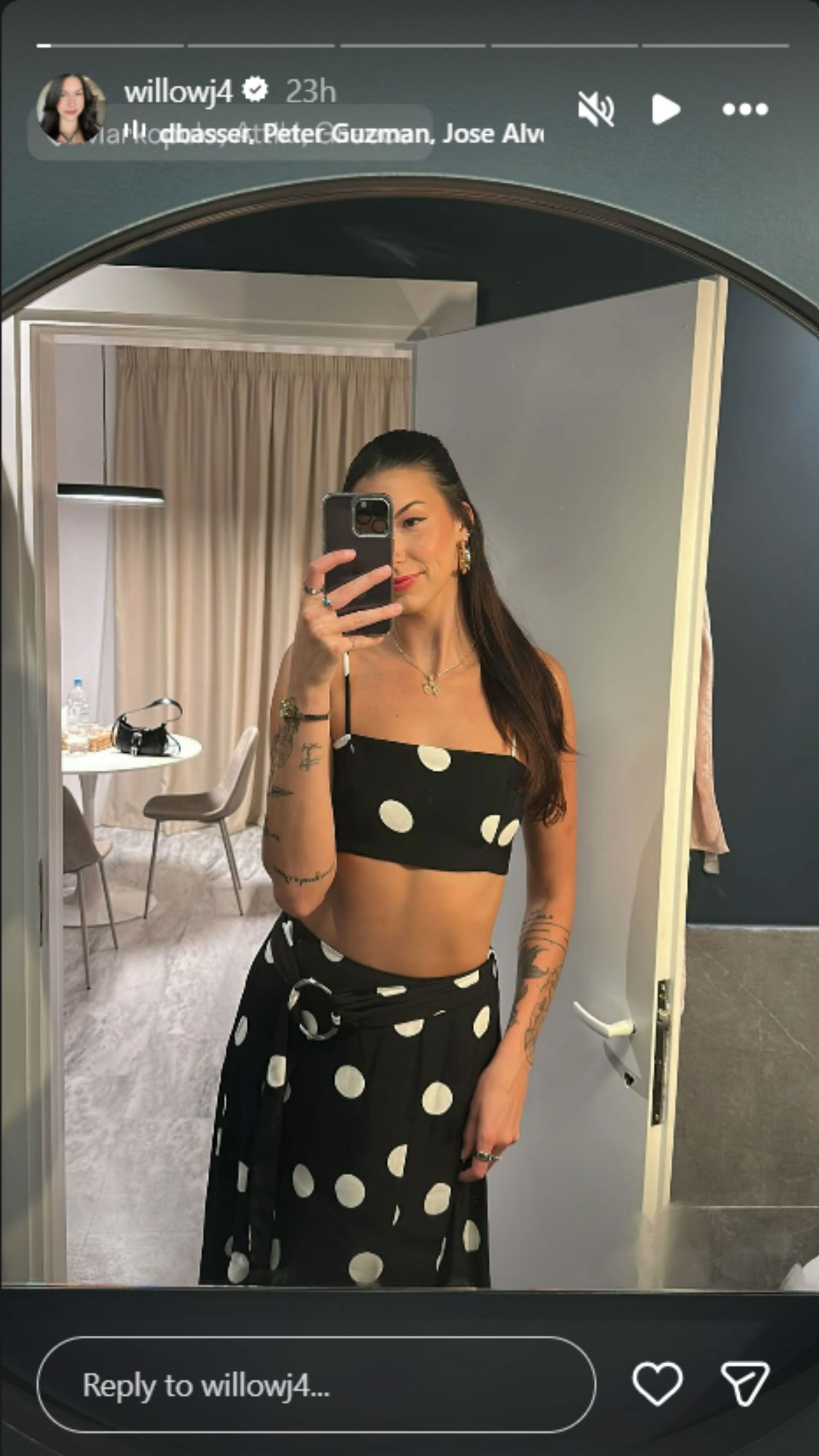 Randy Johnson's daughter's Instagram story [Image Source: Instagram/willowj4]