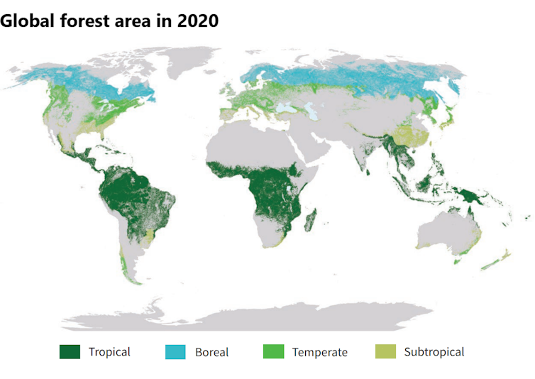 Map showing tropical forests mostly in Africa, South America, Southeast Asia and Indonesia, and boreal and temperate forests across Canada, Russia and parts of Europe.