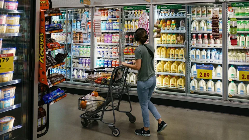 <div>FILE: Shopper is seen shopping in supermarket (Credit: ELIJAH NOUVELAGE/AFP via Getty Images)</div>