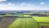 AgLandFieldsAerial_biletskiyevgeniydotcom-AdobeStock_205921951_1920x1080.jpg