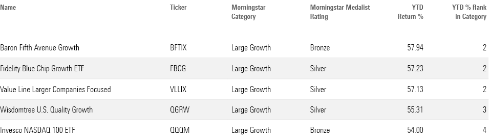 Table of 2023's best-performing stock ETFs and mutual funds